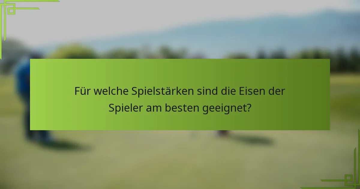 Für welche Spielstärken sind die Eisen der Spieler am besten geeignet?