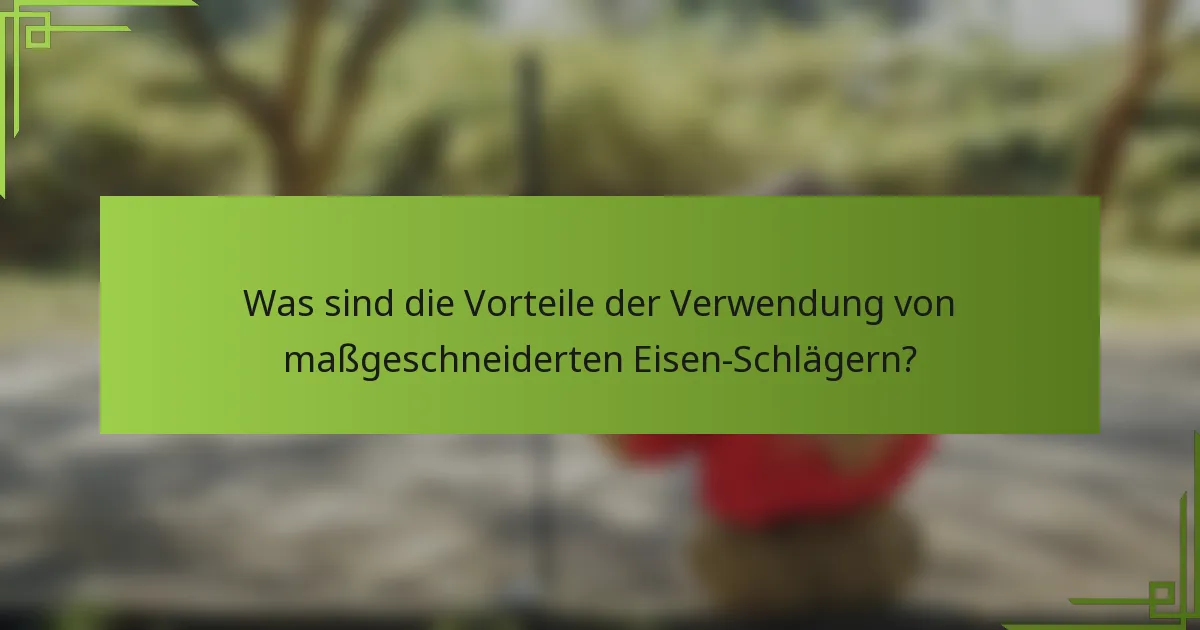 Was sind die Vorteile der Verwendung von maßgeschneiderten Eisen-Schlägern?