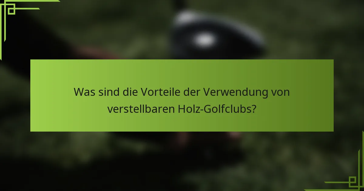 Was sind die Vorteile der Verwendung von verstellbaren Holz-Golfclubs?