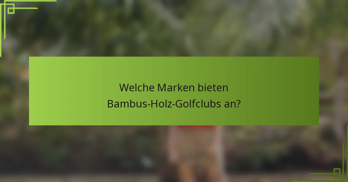 Welche Marken bieten Bambus-Holz-Golfclubs an?