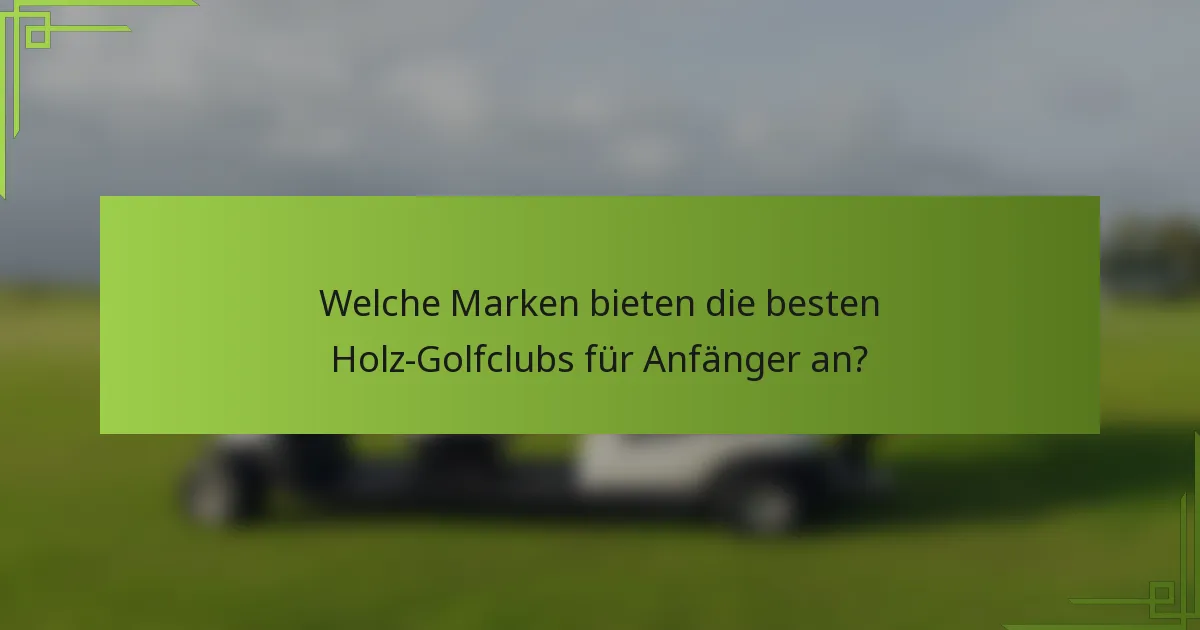 Welche Marken bieten die besten Holz-Golfclubs für Anfänger an?