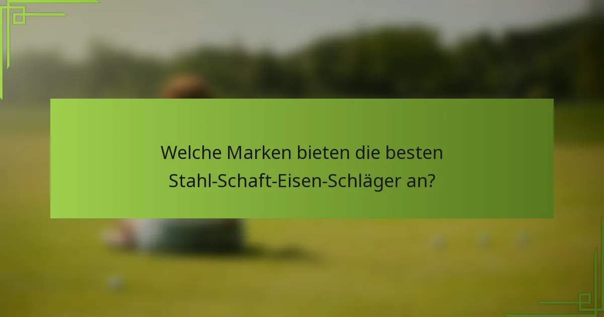 Welche Marken bieten die besten Stahl-Schaft-Eisen-Schläger an?