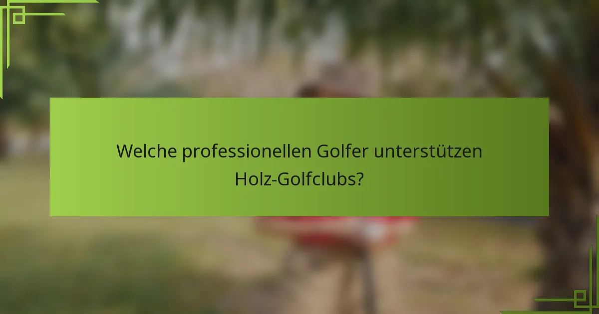 Welche professionellen Golfer unterstützen Holz-Golfclubs?