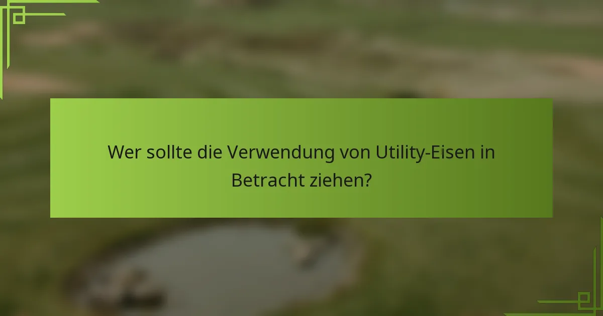 Wer sollte die Verwendung von Utility-Eisen in Betracht ziehen?